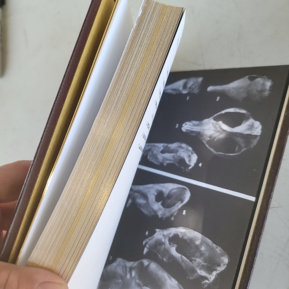 Roger Tory Peterson Field Guides - Picture 5 of 10